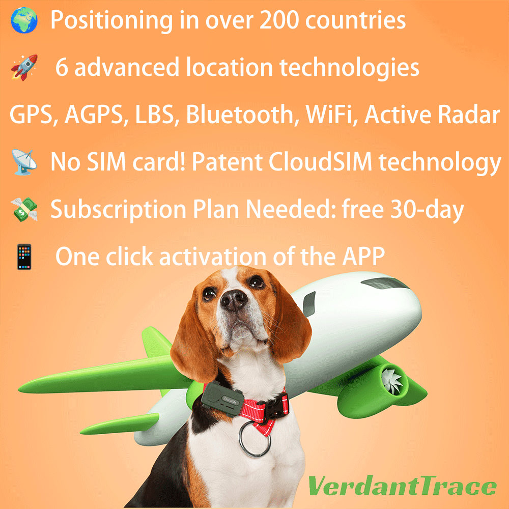 Dog wearing a GlocalMe PetPhone in an illustrated airplane travel scene