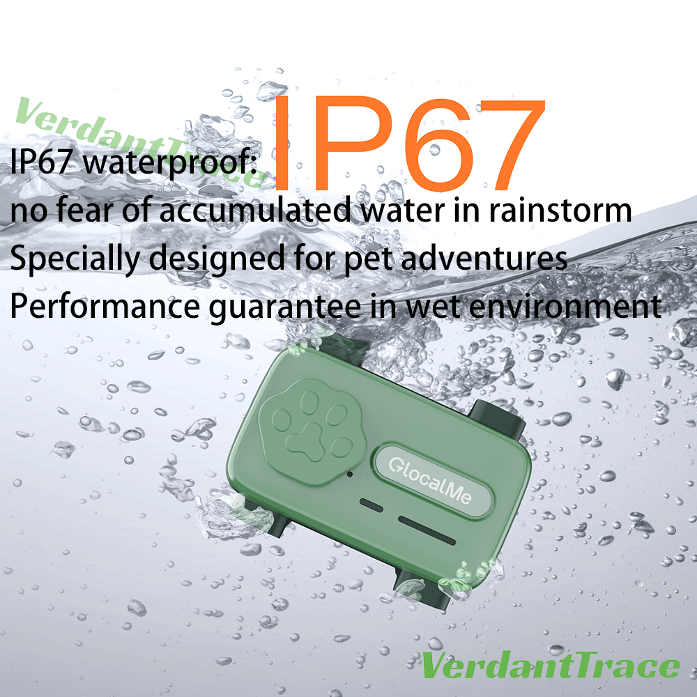 Green GlocalMe PetPhone shown against a water droplet background