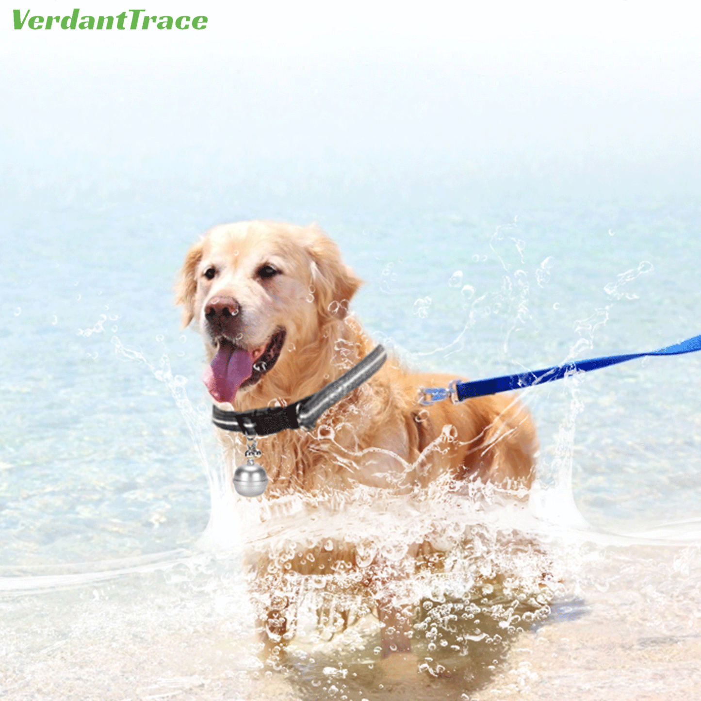 VT15 Mini Pet GPS Tracker for Dogs & Cats — Live Tracking & Geo-Fence