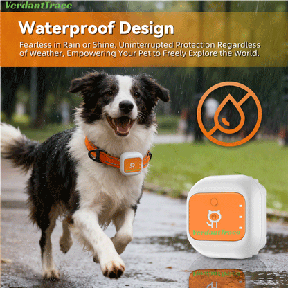 VTG1 Real-Time 4G Pet GPS Tracking for Dogs and Cats