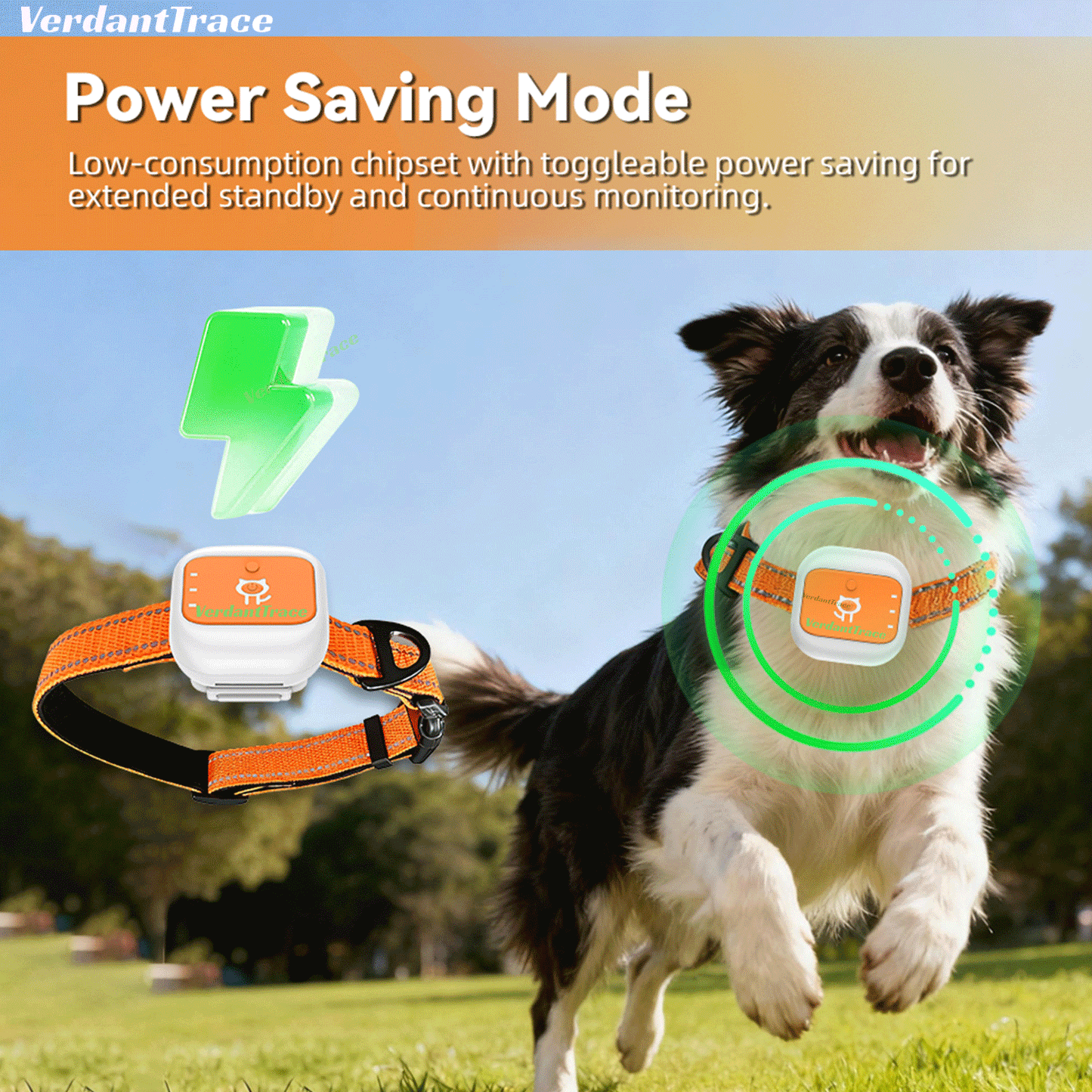VTG1 Real-Time 4G Pet GPS Tracking for Dogs and Cats