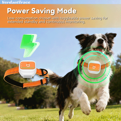 VTG1 Real-Time 4G Pet GPS Tracking for Dogs and Cats