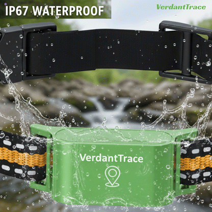 VT01 4G GPS Free Pet Tracker Collar