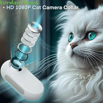 VTA1 HD 1080P Pet Collar Camera