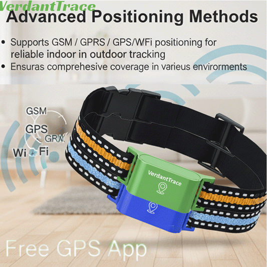 VT01 4G GPS Free Pet Tracker Collar