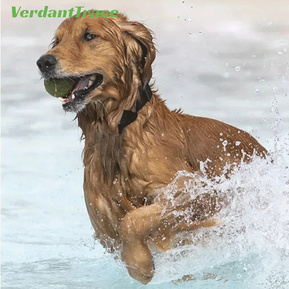 VTF5 Coleira de Localização Find My Pet para iOS