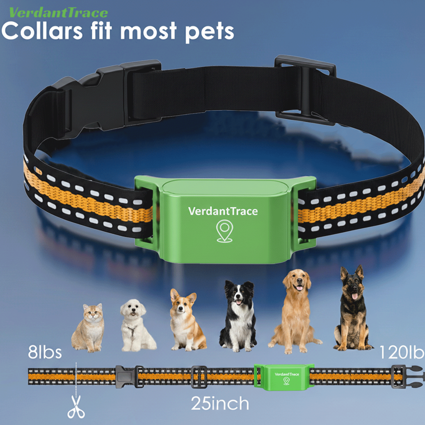 VT01 4G GPS Free Pet Tracker Collar