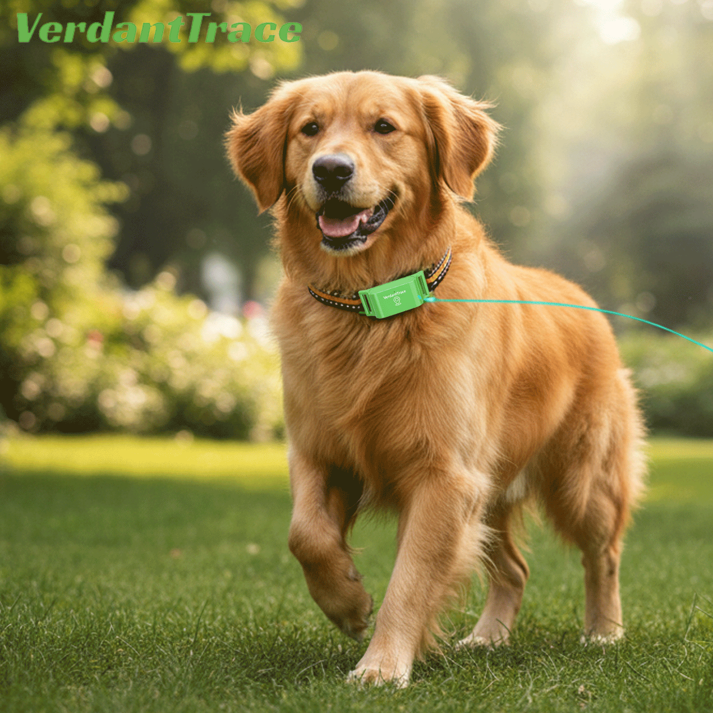 VT01 4G GPS Free Pet Tracker Collar