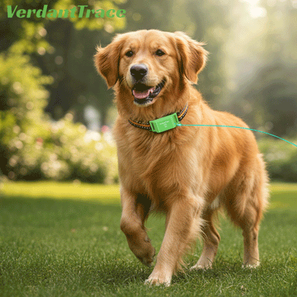 VT01 4G GPS Free Pet Tracker Collar