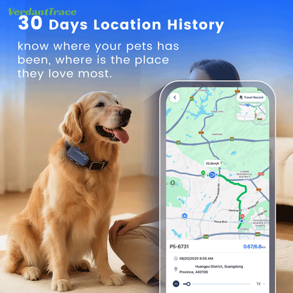 جهاز SEEWORLD P2 لتتبّع الحيوانات الأليفة عبر 4G GPS للقطط والكلاب