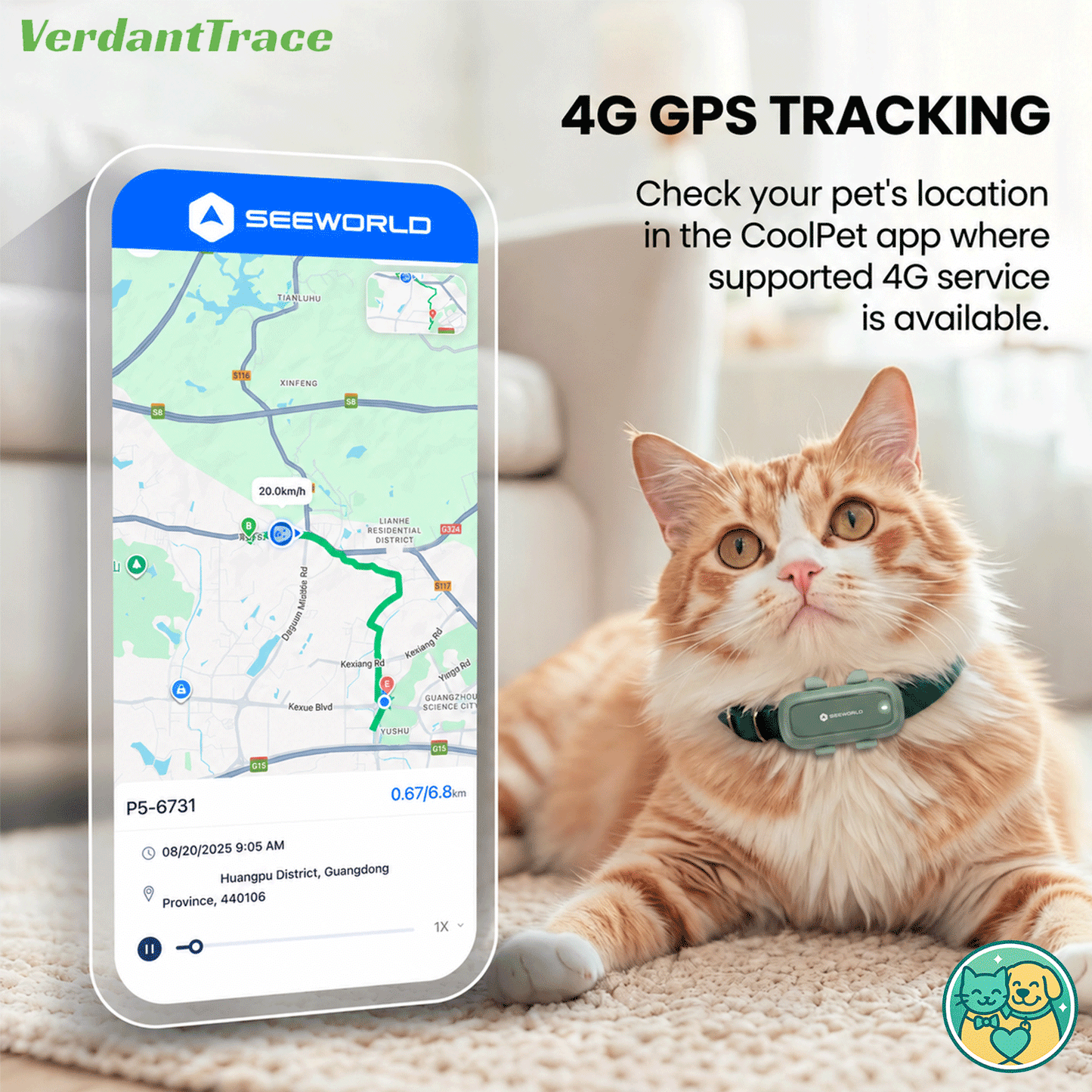 Cat wearing the SEEWORLD P5 tracker beside a CoolPet GPS route screen