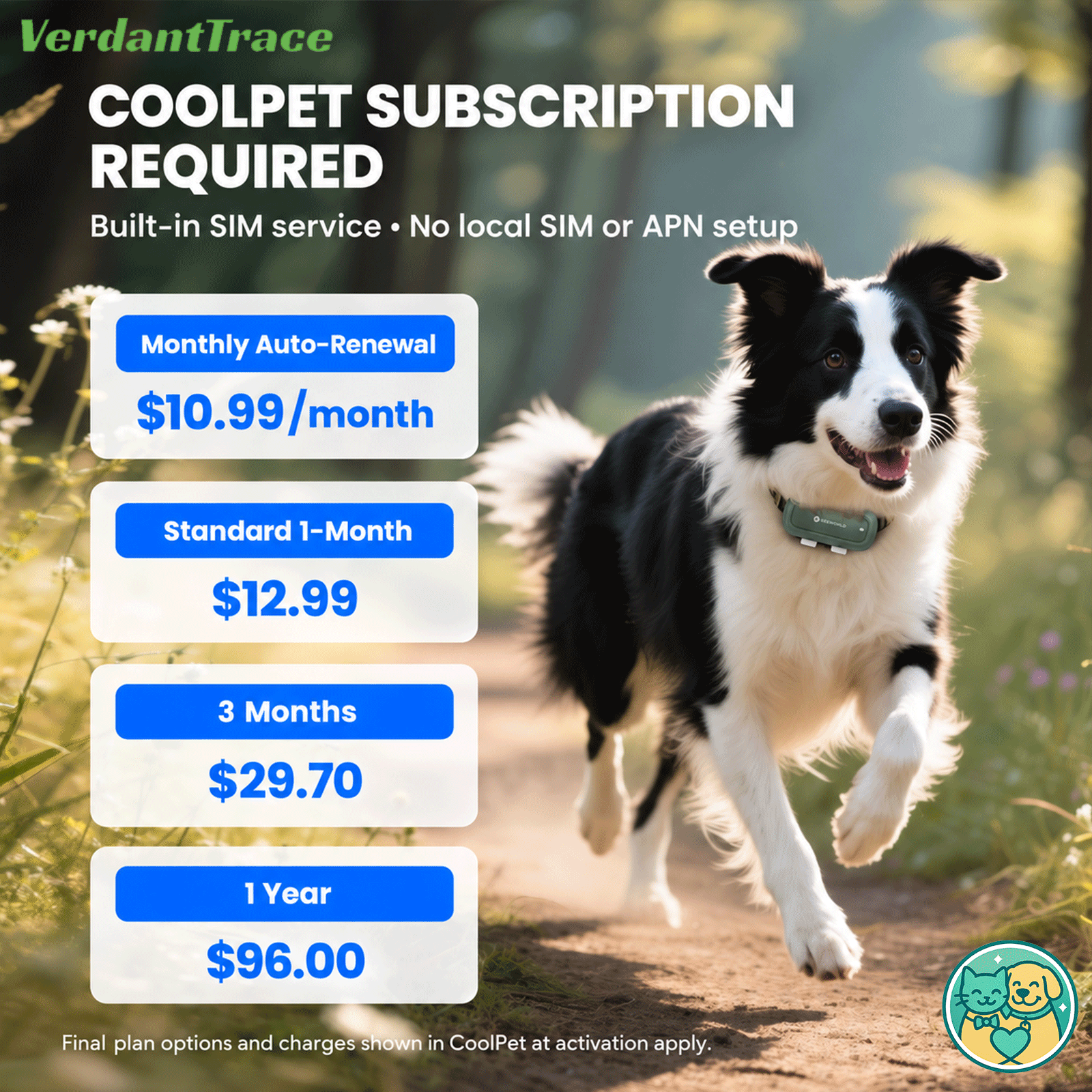 Dog wearing the SEEWORLD P5 tracker beside current CoolPet subscription prices