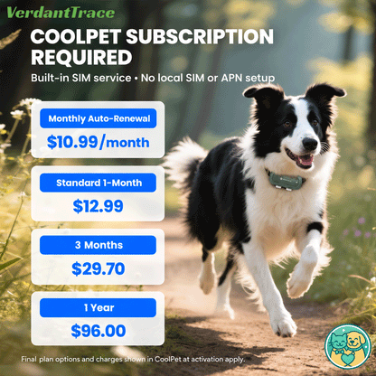 Dog wearing the SEEWORLD P5 tracker beside current CoolPet subscription prices