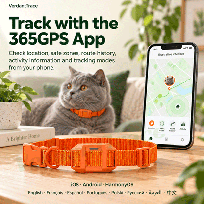 تتبع الموقع والتحكم في VerdantTrace VTG6 عبر تطبيق 365GPS