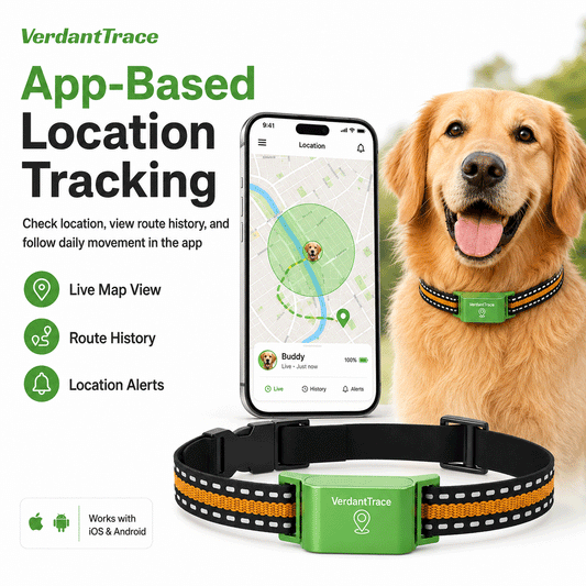 VT01 app-based pet location tracking with live map view route history and location alerts