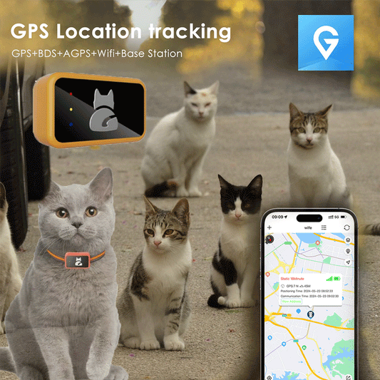 VerdantTrace VT02 pet GPS tracker with cats and 365GPS mobile map for location tracking