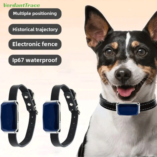 VerdantTrace VT12 2G GPS pet tracker with dog, collar and positioning, route history, geofence and IP67 feature overview