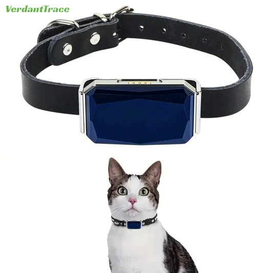 Cat wearing a blue VerdantTrace VT12 2G GPS pet tracker on a black collar