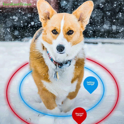 Dog inside a virtual safe zone illustrating the VT12 GPS pet tracker geofence alert function