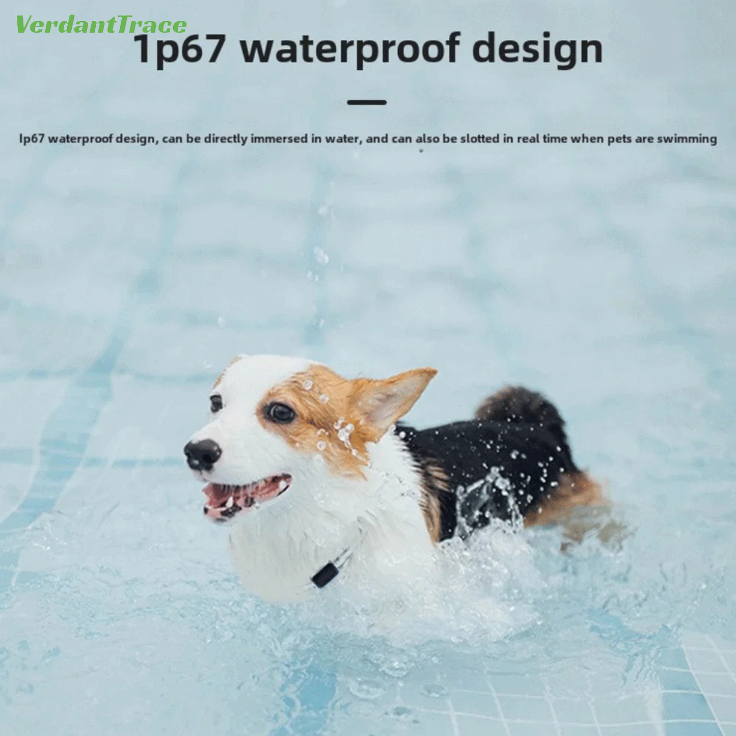 Dog in water beside an IP67 protection graphic for the VerdantTrace VT12 GPS pet tracker