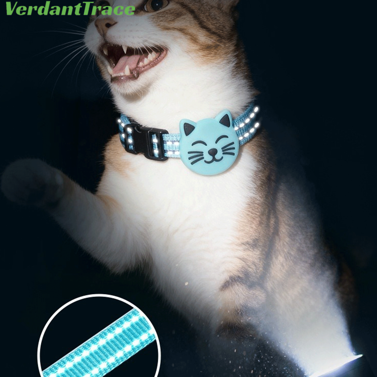 Cat wearing a blue VT22 pet finder tag on a collar at night