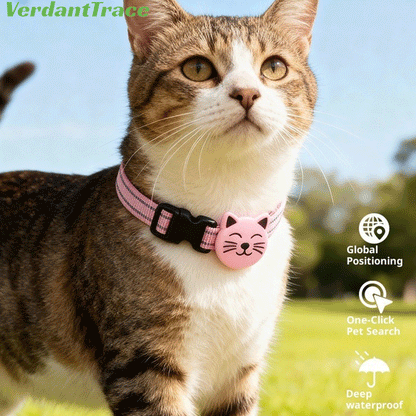 Cat wearing a pink VT22 pet finder tag on a collar indoors