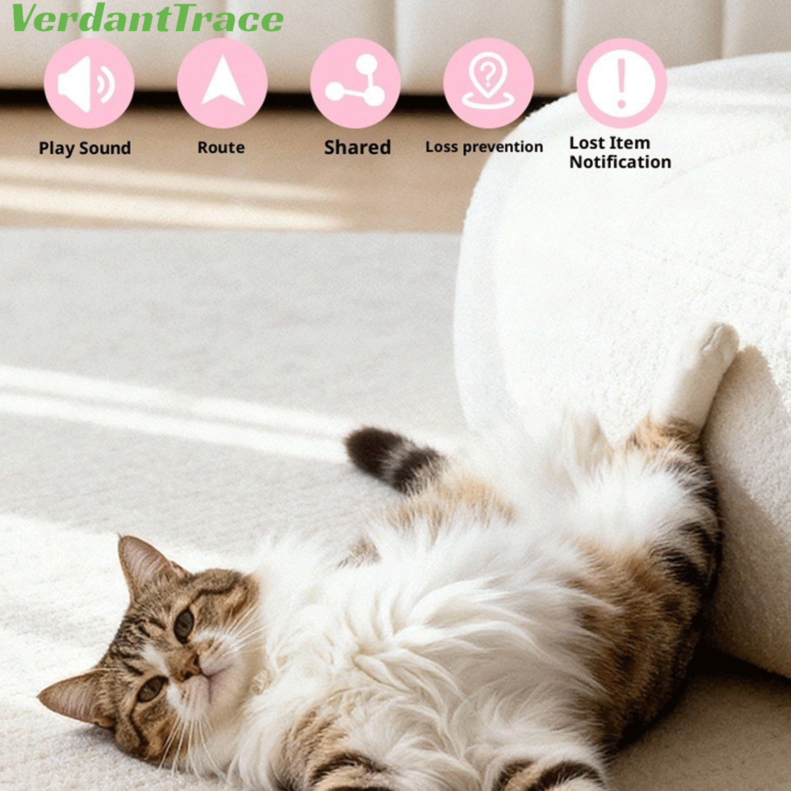 Cat resting on a sofa while wearing a pink VT22 pet finder tag