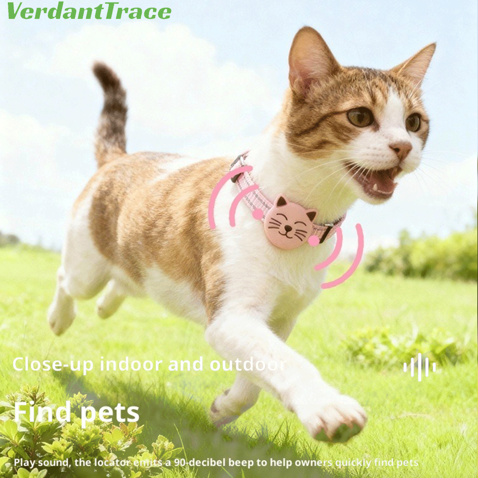 Cat outdoors wearing a pink VerdantTrace VT22 mini Bluetooth pet finder tag