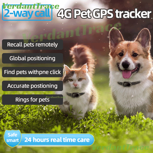 Dog and cat wearing VT41 4G GPS pet trackers in a voice calling and pet-finding feature illustration