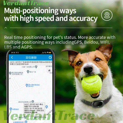 VT41 pet tracking app showing real-time dog location with GPS and multi-mode positioning support