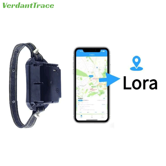 Side view of a VTA7 livestock GPS tracking collar beside a mobile map screen