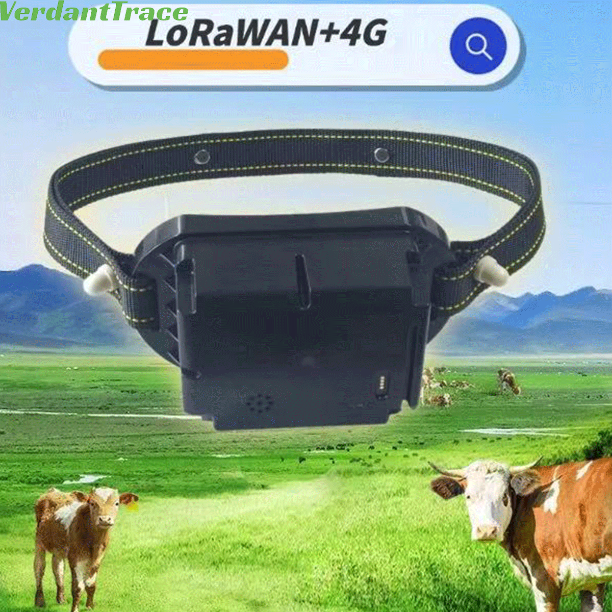 VerdantTrace VTA7 livestock GPS collar with mobile map interface for cattle and sheep location monitoring