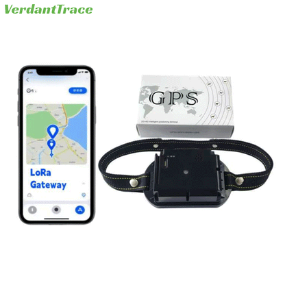 VerdantTrace VTA7 livestock GPS tracking collar beside a mobile location map for 4G and LoRa herd tracking