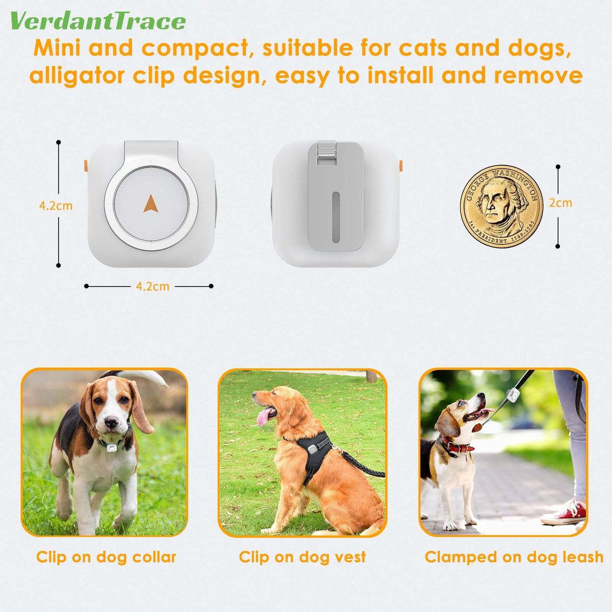 White VTC08 pet tracker attached to a collar, harness and leash
