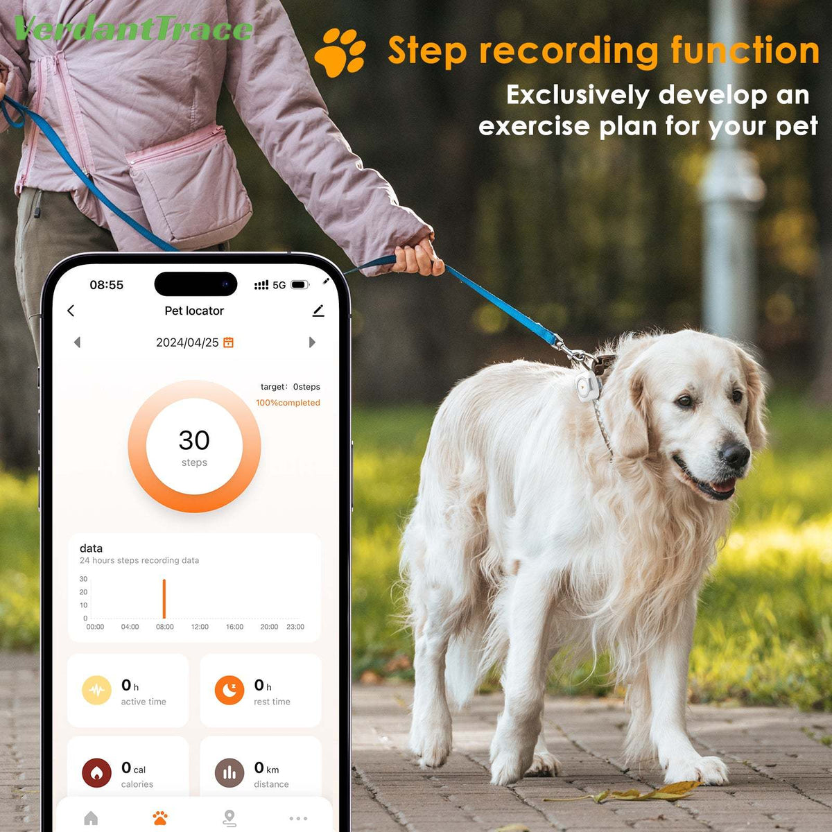 Dog on a leash beside the VTC08 activity screen in the mobile app