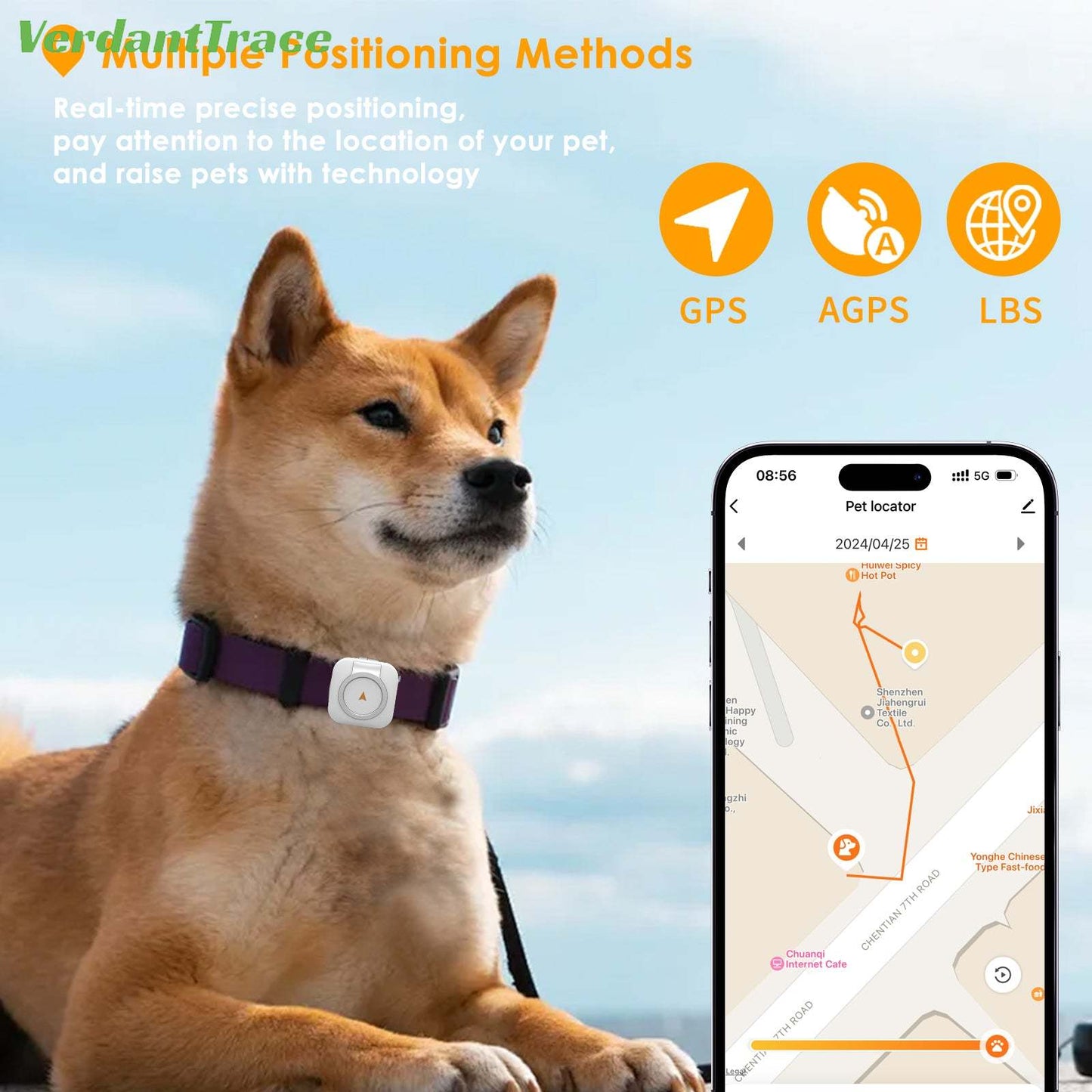 Dog wearing a VTC08 pet tracker beside a mobile location map