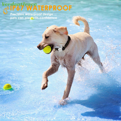 Dog running through shallow water while wearing a VTC08 pet tracker