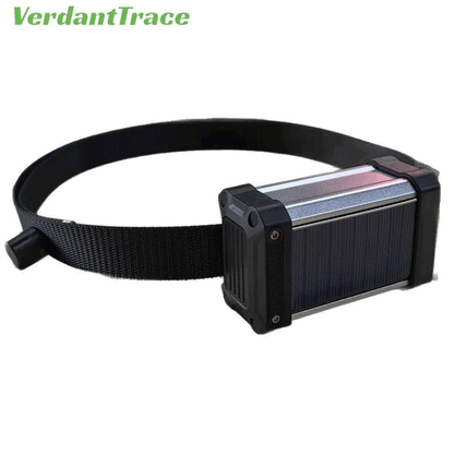 VerdantTrace VTH1 solar livestock GPS tracker with adjustable collar strap for cattle and sheep